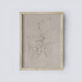 Vintage Print Framed | Vintage Olive Sketch A159